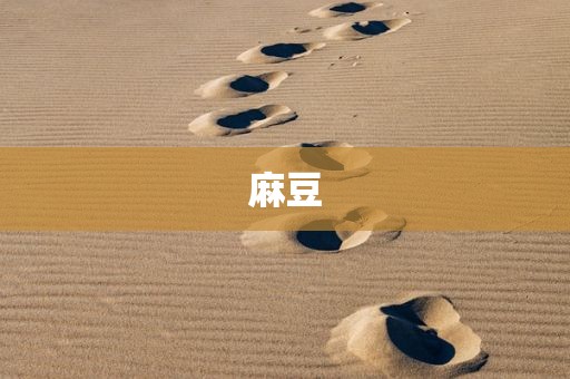 麻豆