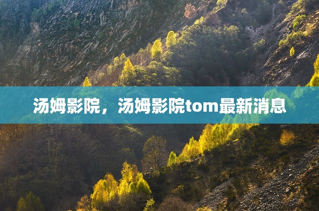 汤姆影院，汤姆影院tom最新消息