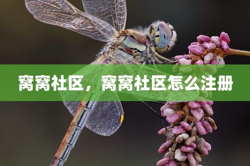窝窝社区，窝窝社区怎么注册