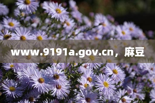 www.9191a.gov.cn，麻豆