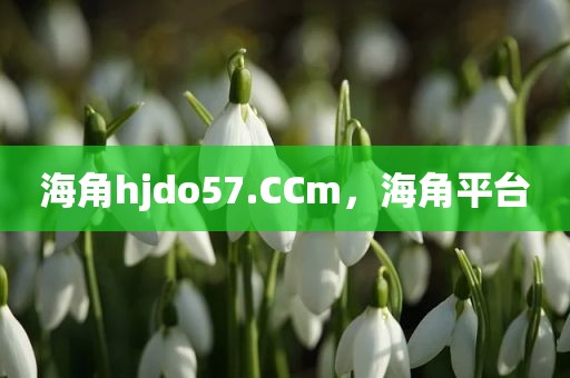 海角hjdo57.CCm，海角平台