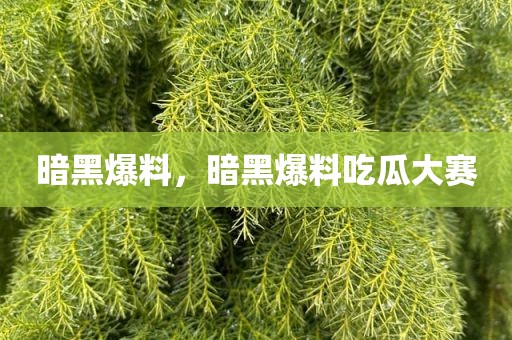 暗黑爆料，暗黑爆料吃瓜大赛