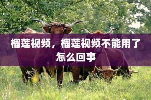 榴莲视频，榴莲视频不能用了怎么回事