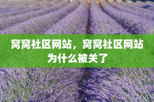 窝窝社区网站，窝窝社区网站为什么被关了
