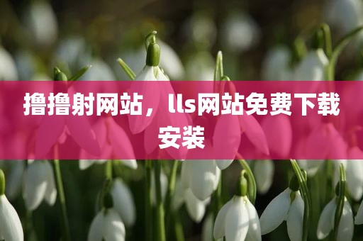 撸撸射网站，lls网站免费下载安装