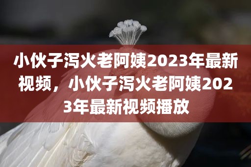 小伙子泻火老阿姨2023年最新视频，小伙子泻火老阿姨2023年最新视频播放