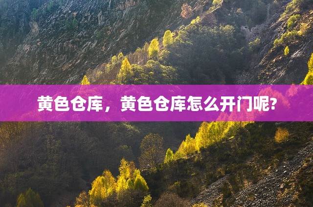 黄色仓库，黄色仓库怎么开门呢?