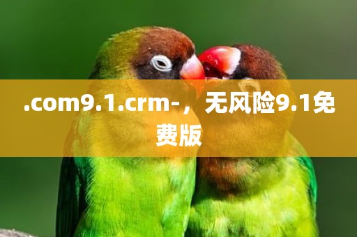 .com9.1.crm-，无风险9.1免费版