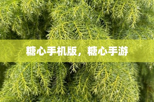 糖心手机版，糖心手游