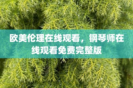 欧美伦理在线观看，钢琴师在线观看免费完整版