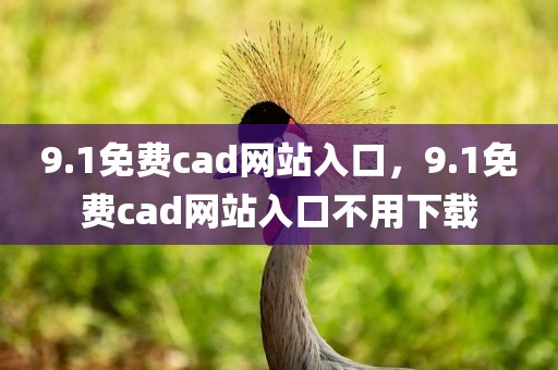 9.1免费cad网站入口，9.1免费cad网站入口不用下载