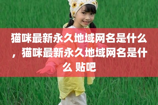 猫咪最新永久地域网名是什么，猫咪最新永久地域网名是什么 贴吧