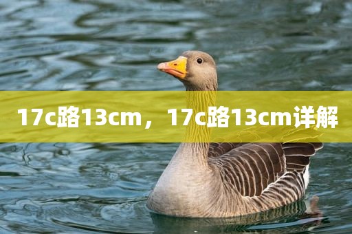 17c路13cm，17c路13cm详解