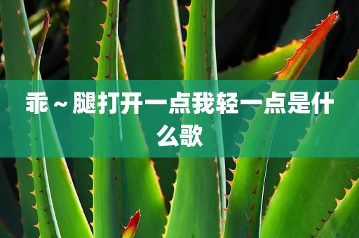 乖～腿打开一点我轻一点是什么歌