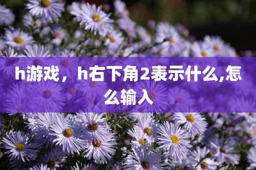 h游戏，h右下角2表示什么,怎么输入