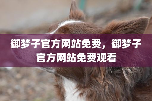御梦子官方网站免费，御梦子官方网站免费观看