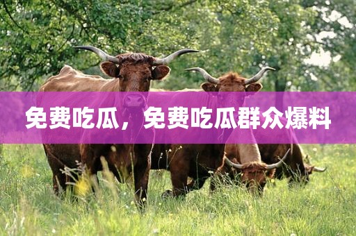 免费吃瓜，免费吃瓜群众爆料