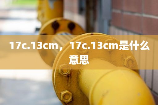 17c.13cm，17c.13cm是什么意思