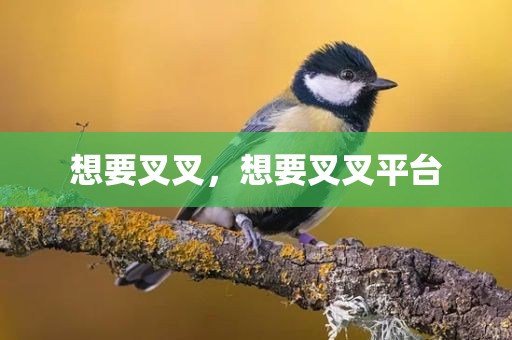 想要叉叉，想要叉叉平台