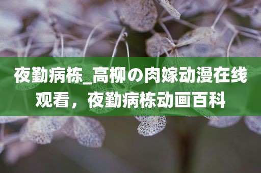 夜勤病栋_高柳の肉嫁动漫在线观看，夜勤病栋动画百科