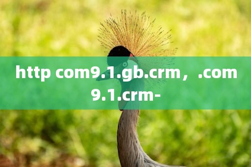 http com9.1.gb.crm，.com9.1.crm-