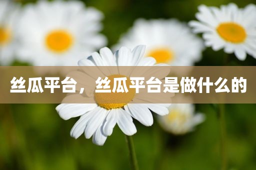 丝瓜平台，丝瓜平台是做什么的