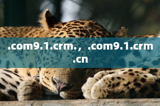 .com9.1.crm.，.com9.1.crm.cn