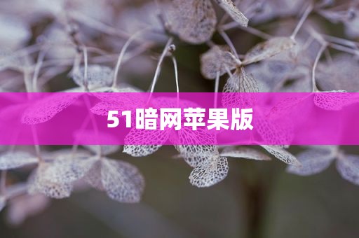 51暗网苹果版