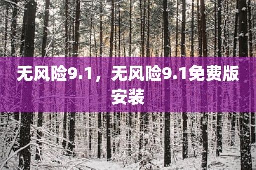 无风险9.1，无风险9.1免费版安装