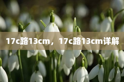 17c路13cm，17c路13cm详解