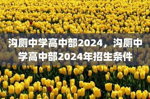 沟厕中学高中部2024，沟厕中学高中部2024年招生条件