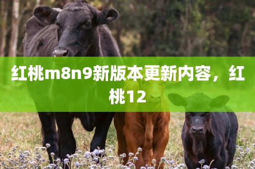 红桃m8n9新版本更新内容，红桃12