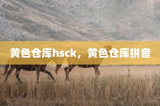 黄色仓库hsck，黄色仓库拼音