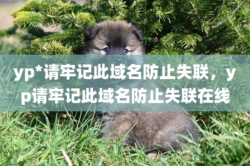 yp*请牢记此域名防止失联，yp请牢记此域名防止失联在线