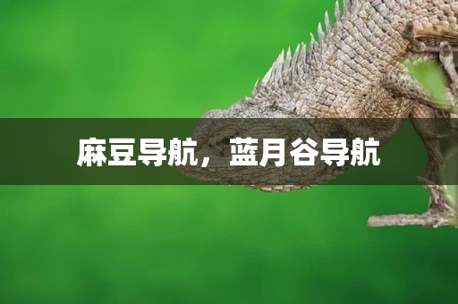 麻豆导航，蓝月谷导航
