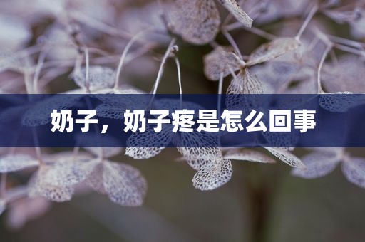 奶子，奶子疼是怎么回事