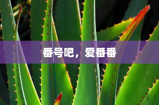 番号吧，爱番番