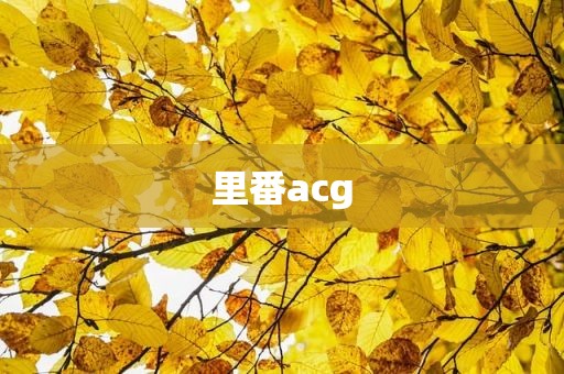里番acg