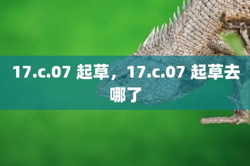 17.c.07 起草，17.c.07 起草去哪了