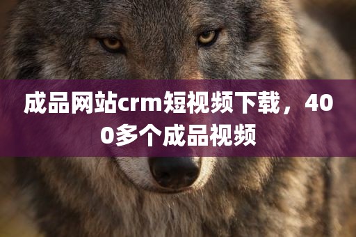 成品网站crm短视频下载，400多个成品视频
