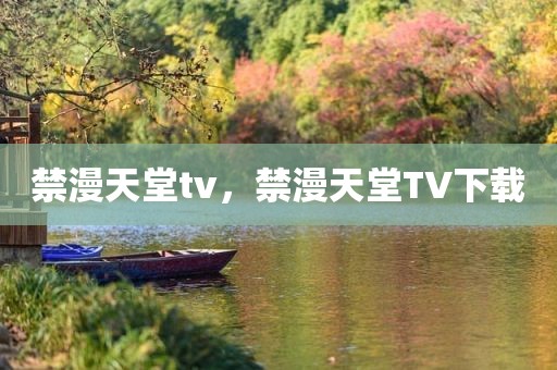 禁漫天堂tv，禁漫天堂TV下载