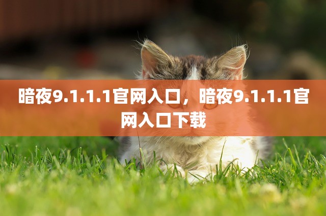 暗夜9.1.1.1官网入口，暗夜9.1.1.1官网入口下载