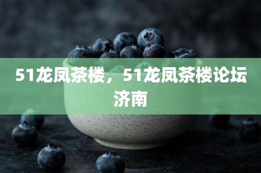 51龙凤茶楼，51龙凤茶楼论坛济南