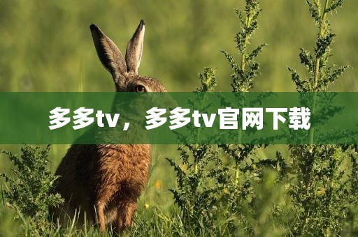多多tv，多多tv官网下载