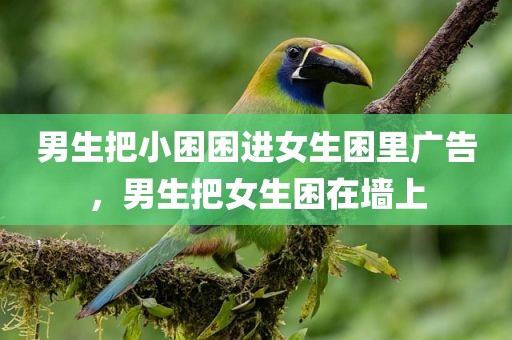 男生把小困困进女生困里广告，男生把女生困在墙上