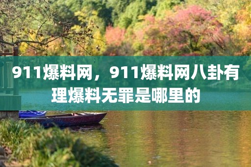 911爆料网，911爆料网八卦有理爆料无罪是哪里的