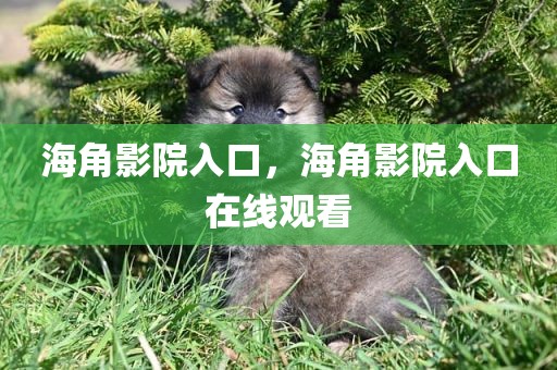 海角影院入口，海角影院入口在线观看