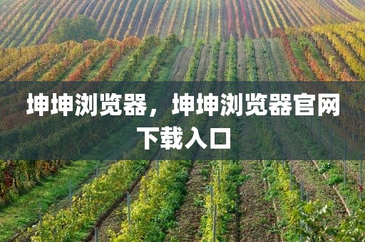 坤坤浏览器，坤坤浏览器官网下载入口