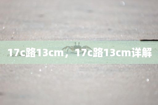 17c路13cm，17c路13cm详解