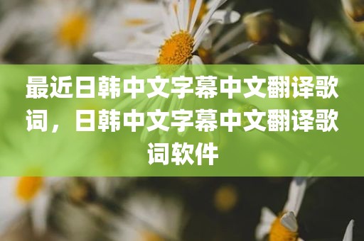 最近日韩中文字幕中文翻译歌词，日韩中文字幕中文翻译歌词软件